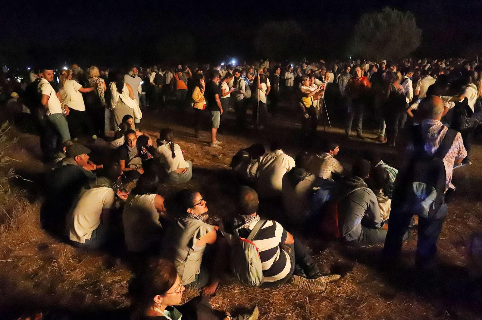 Recuerda las imágenes de la Venida de la Virgen del Rocío a Almonte en 2019