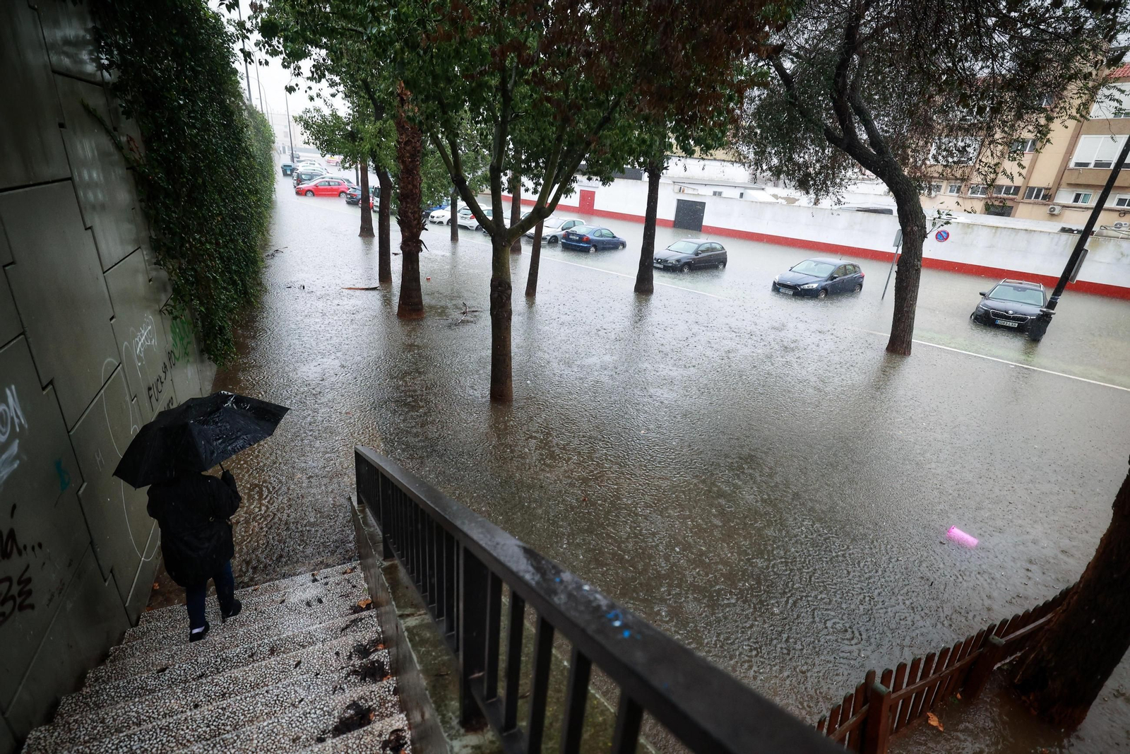 Imágenes de calles inundadas y vecinos achicando agua en San Fernando