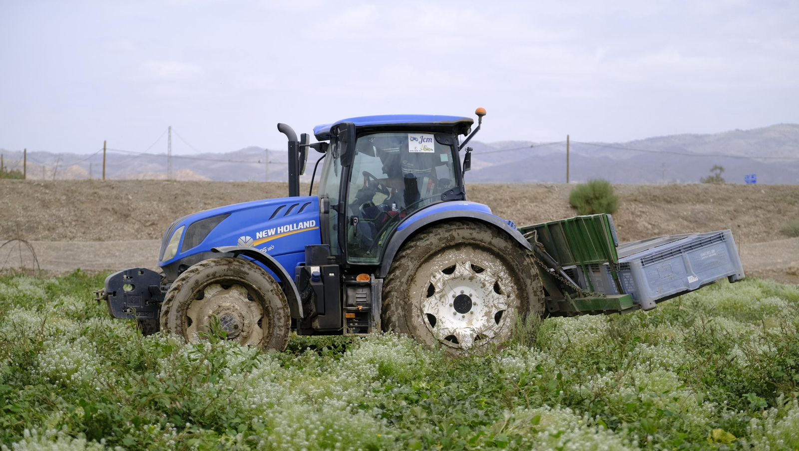 La sandía y el melón de Huércal Overa, manjares en imágenes