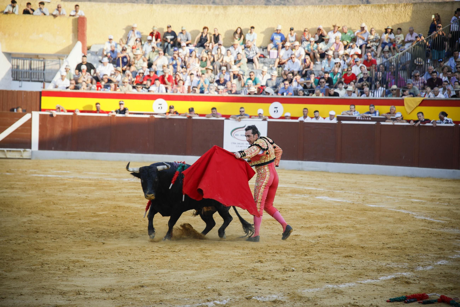 Corrida de toros Berja con un toro indultado, en imágenes