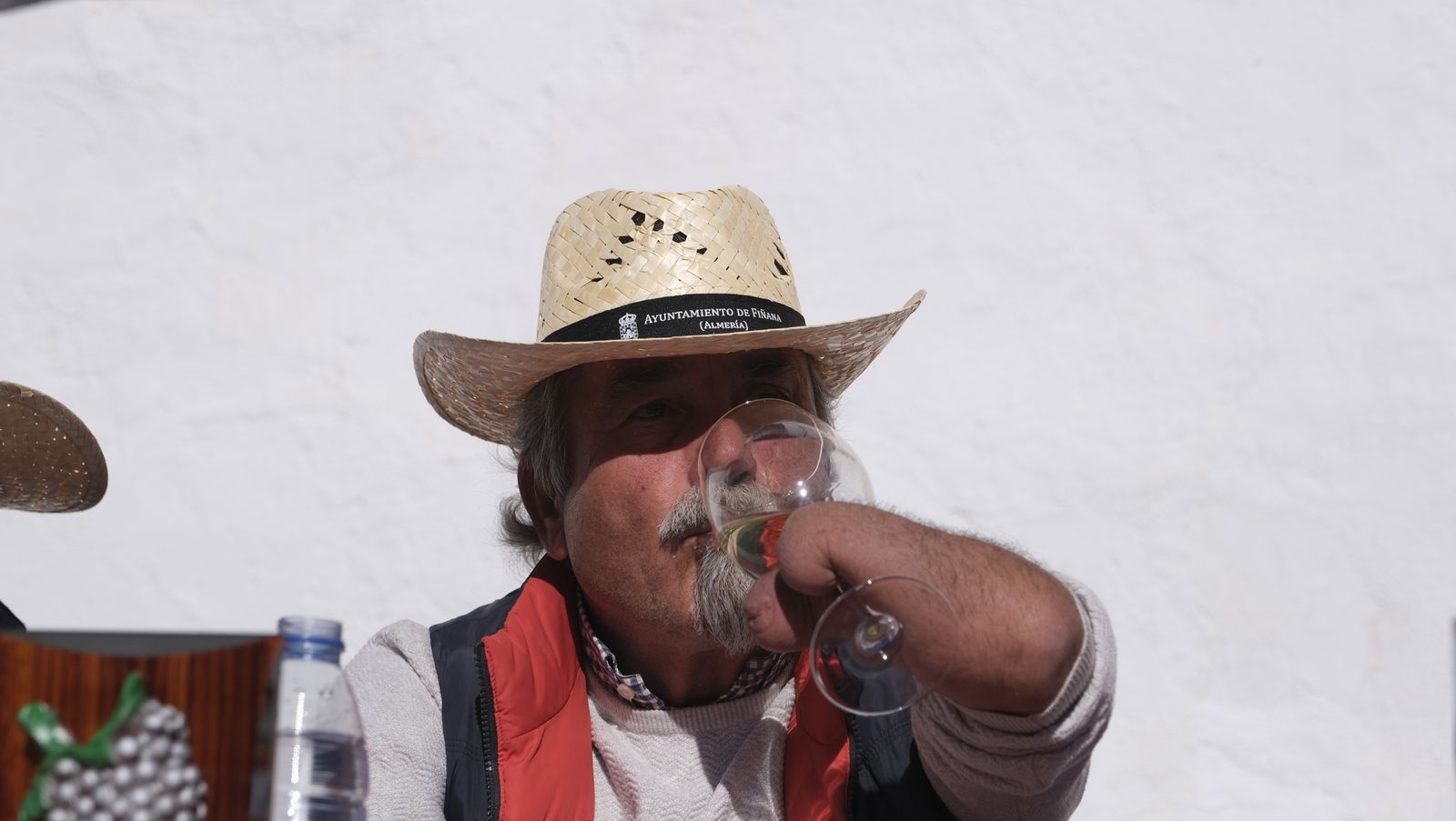 Imágenes del Certamen de Mostos de Fiñana