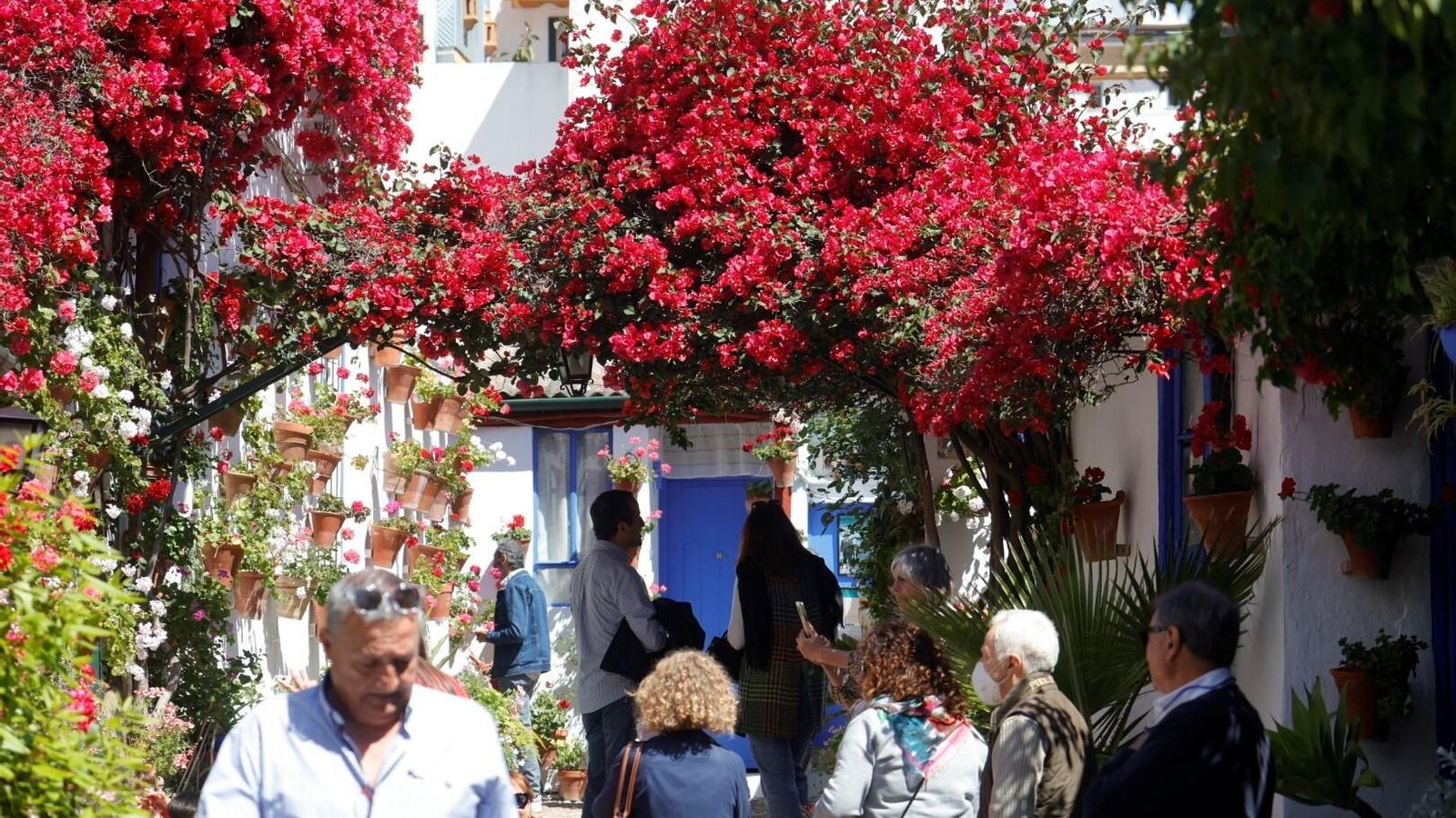 Marroquíes, 6, el Patio más singular de Córdoba según el Concurso de Patios 2024.