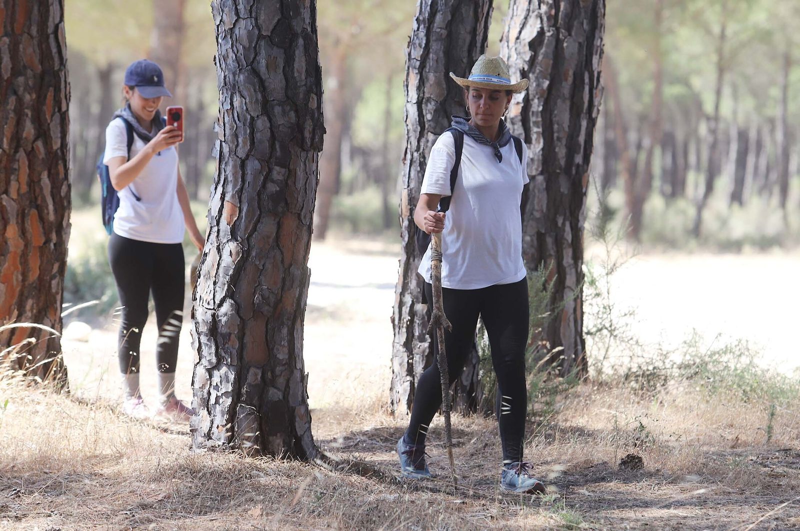 Todos los peregrinos de la Hermandad de Huelva, en imágenes