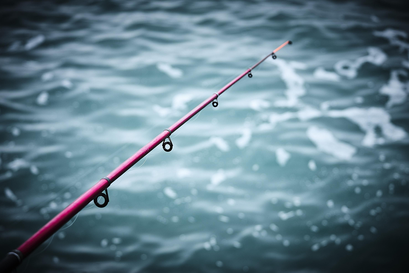 La afición a la pesca en Cádiz, en imágenes