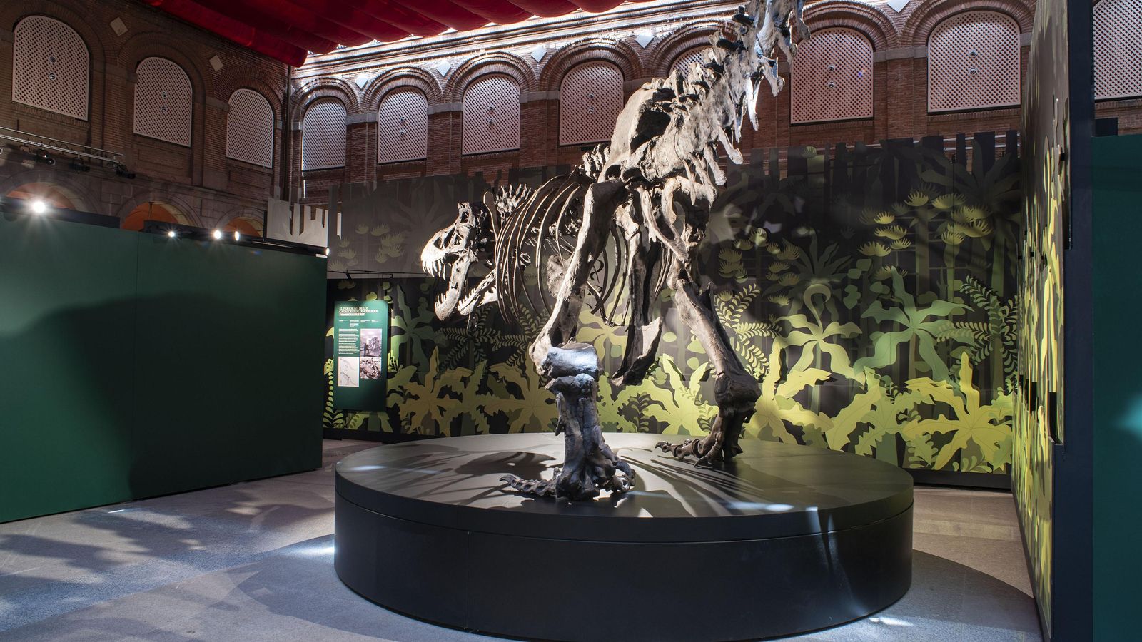 Cazadores de dragones