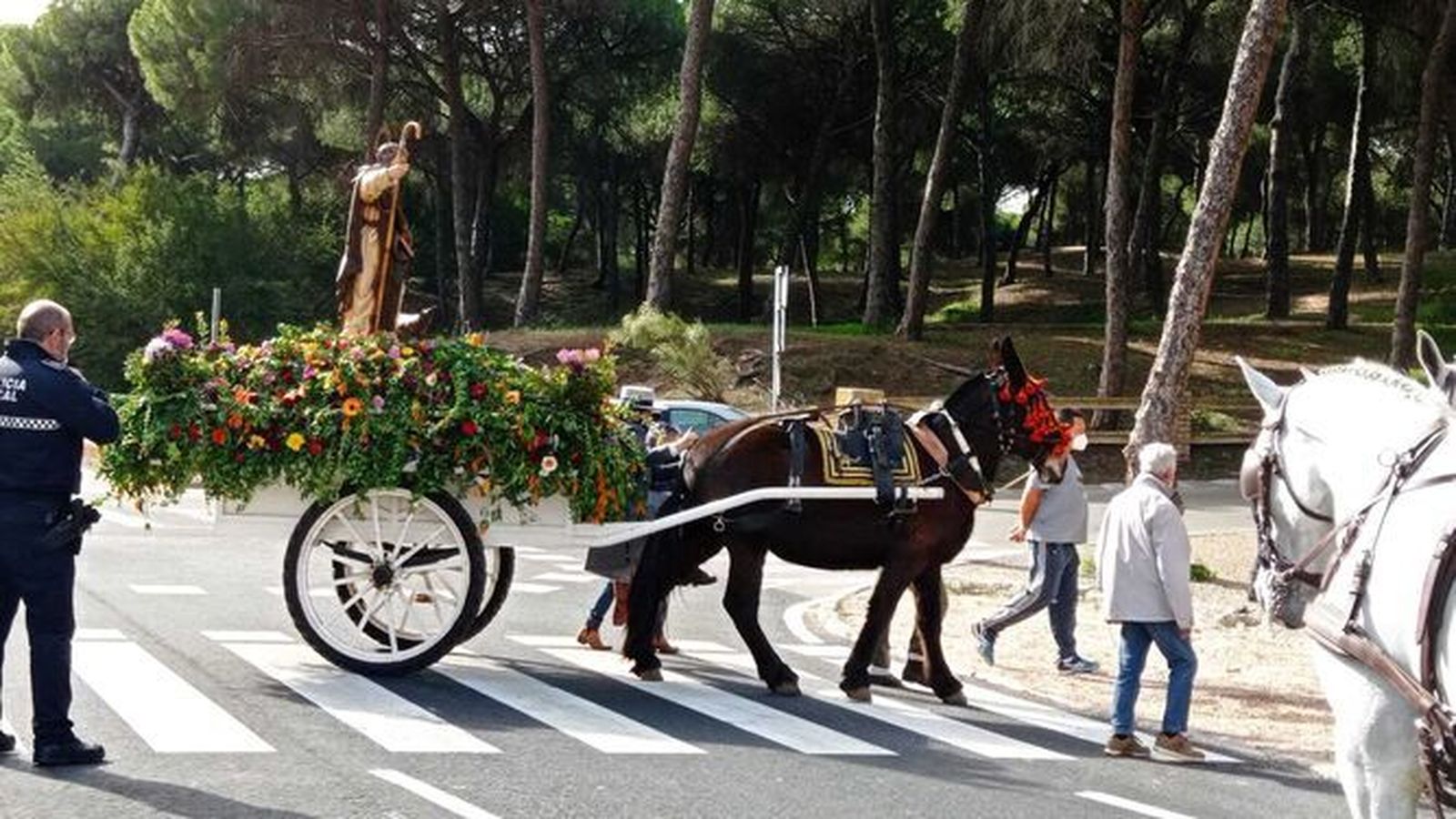 La carreta de San Antón, entrando en el pinar de Las Dunas.