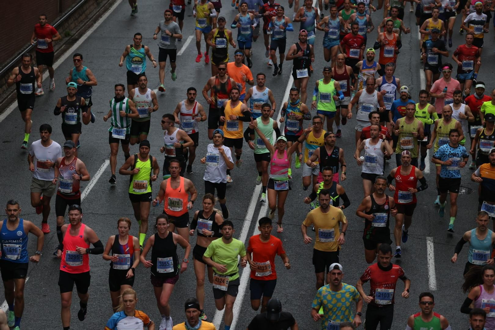 Búscate en la Media Maratón de Sevilla 08
