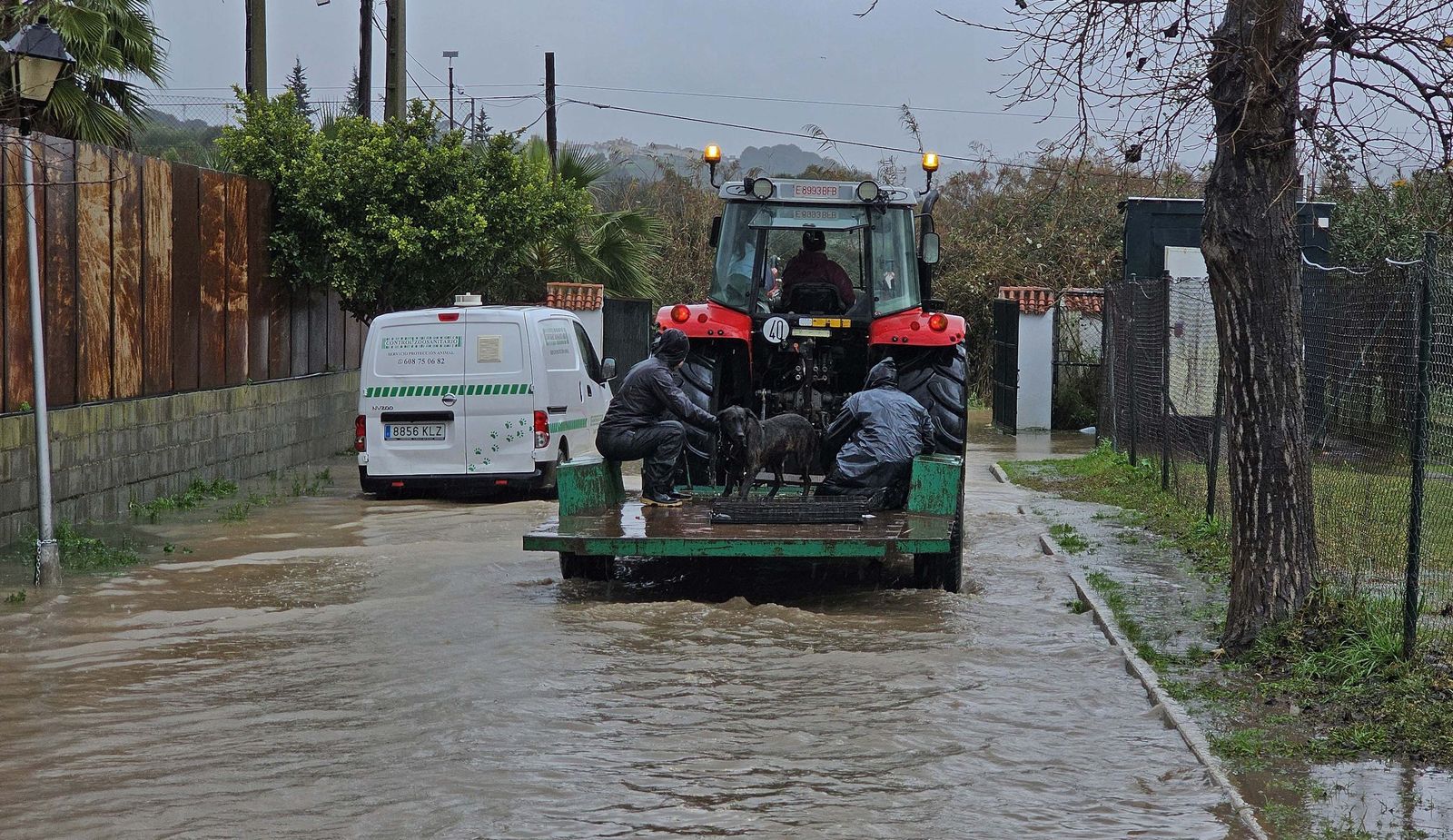 Fotos de las inundaciones y efectos de la borrasca Francis en Los Barrios, Tesorillo y Jimena