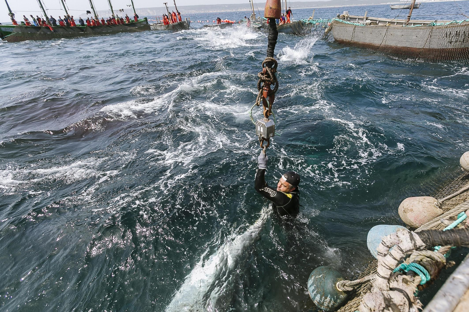 Imágenes de la primera levantá del año