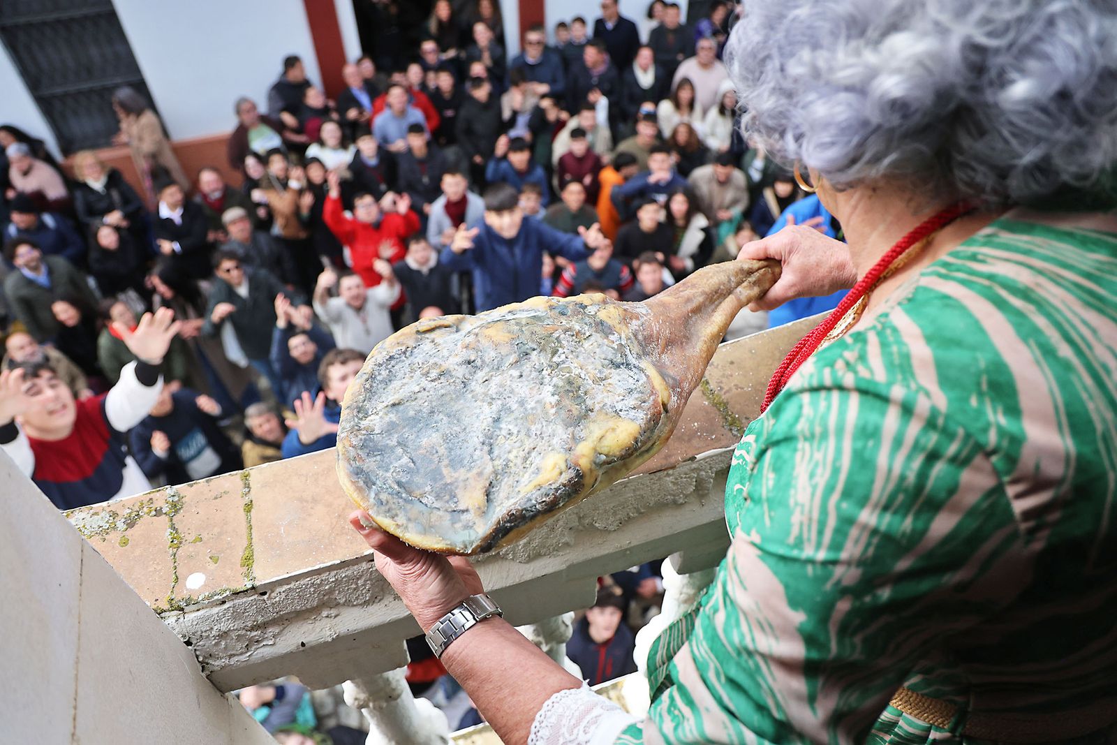 Las mejores fotografías de las Tiradas a San Antonio Abad en Trigueros