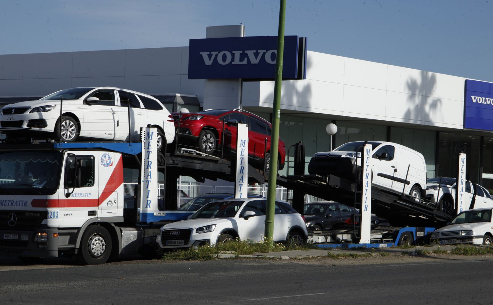 Un camión transporta varios turismos nuevos.