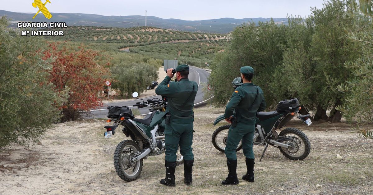 La Guardia Civil inspecciona una explotación ganadera en Chipiona por carecer de permisos