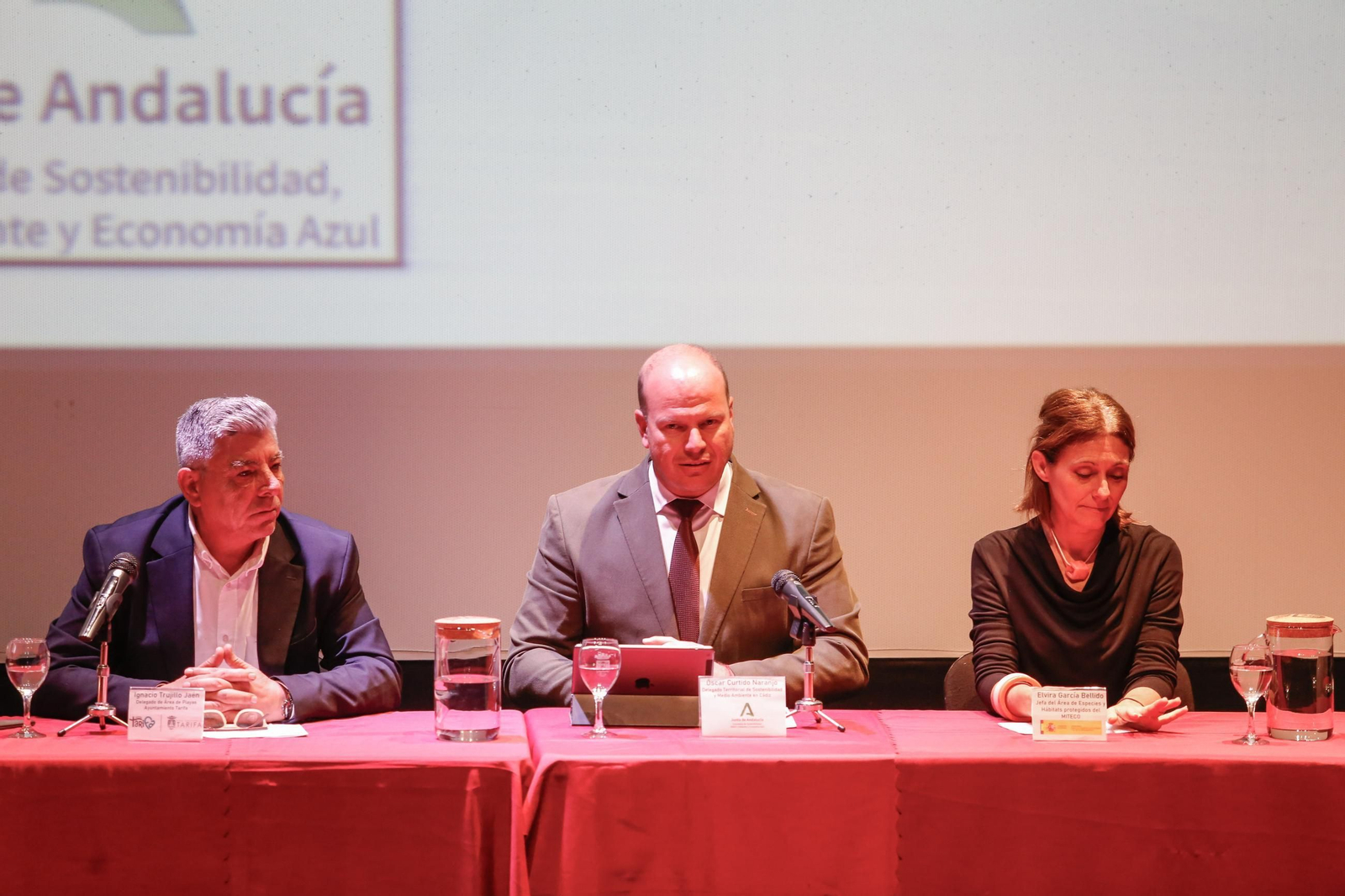 Las fotos de la jornada sobre el alga invasora en Tarifa