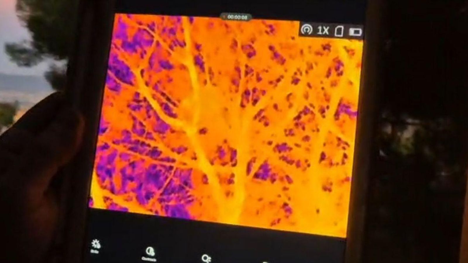 Imagen del nido con la cámara térmica.