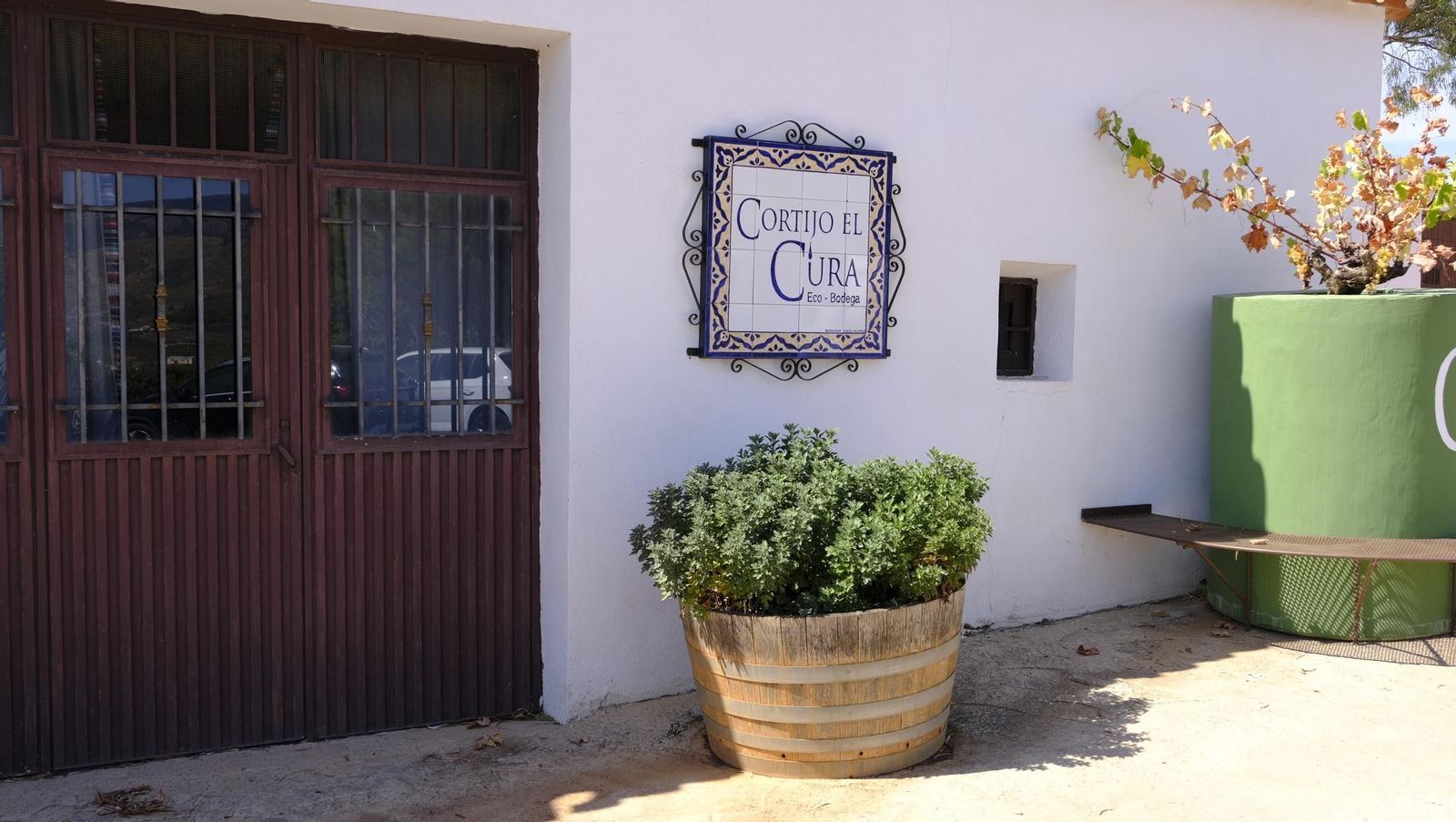 La vendimia en la Bodega Cortijo del Cura de Laujar, en imágenes