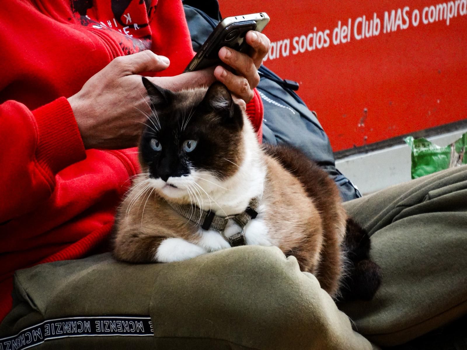 Fotos del ambiente en la ciudad durante la mañana