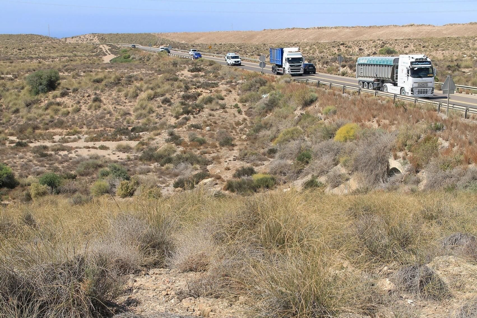 Los terrenos lindan con A-92 y con la N-349, en la imagen.