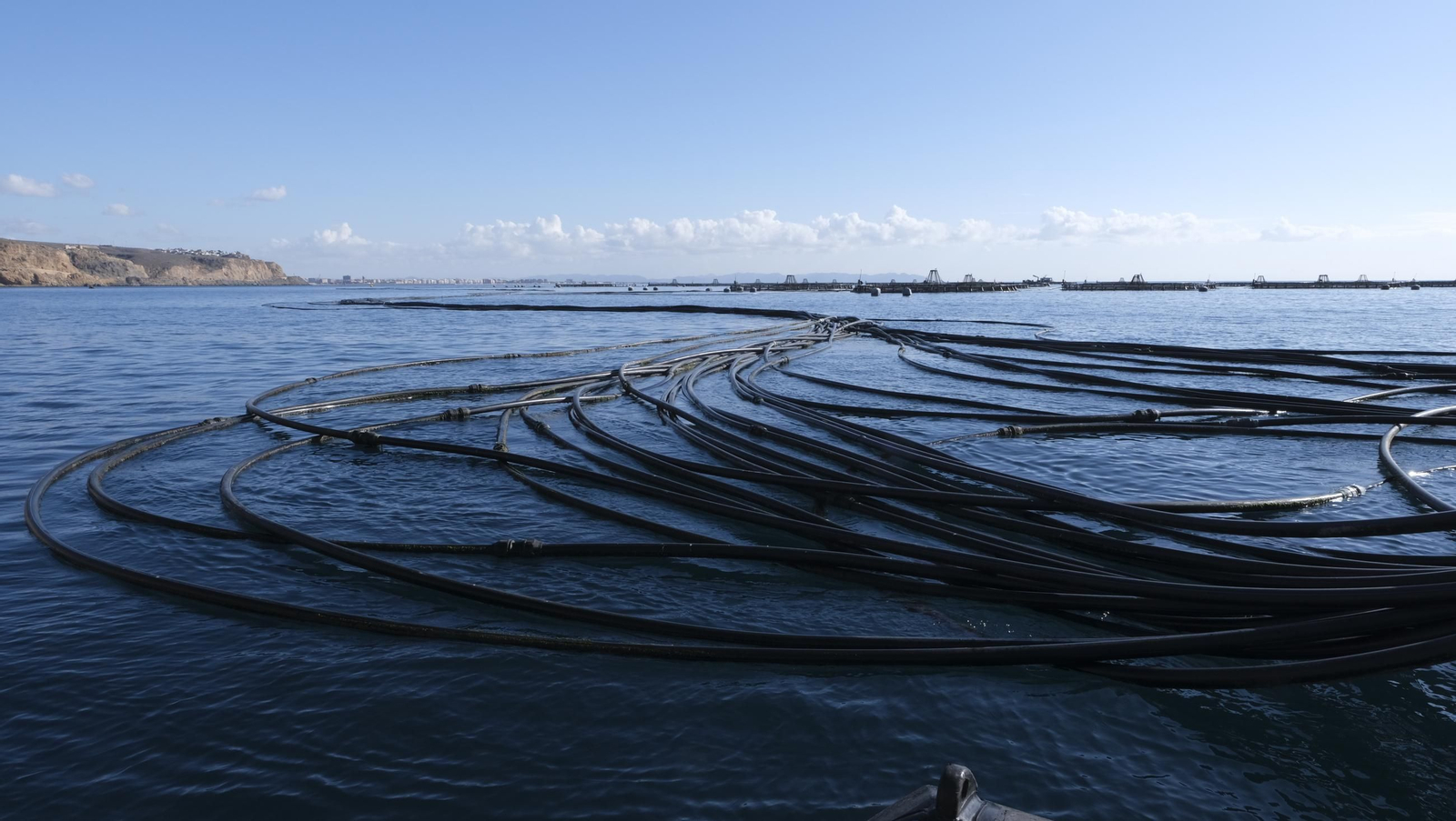 La piscifactoría de El Cañarete, en imágenes
