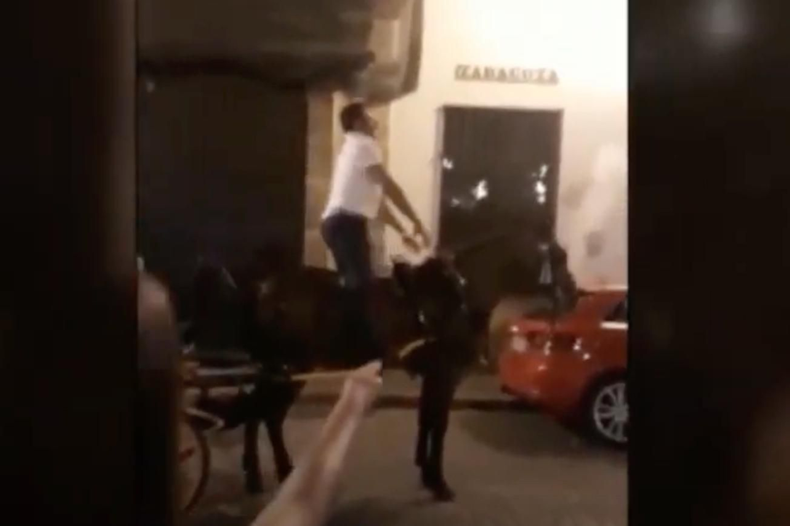 El cochero, a la grupa de su caballo