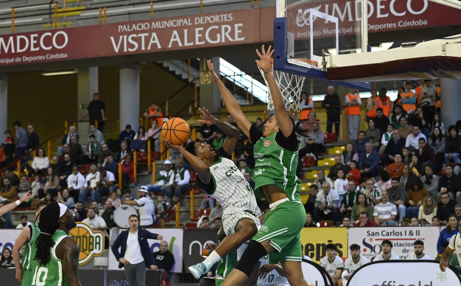 Las mejores fotos del ambiente en el Coto Córdoba - Cáceres Patrimonio de la Humanidad