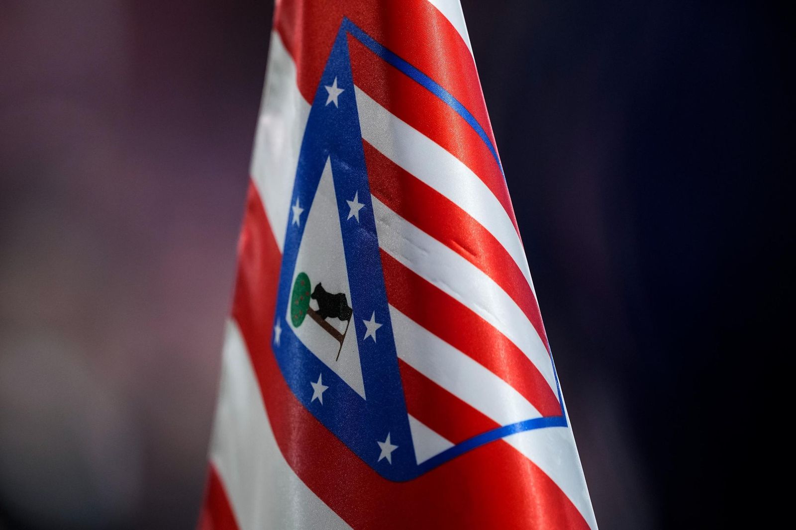 Las fotos del Atlético de Madrid-Tottenham