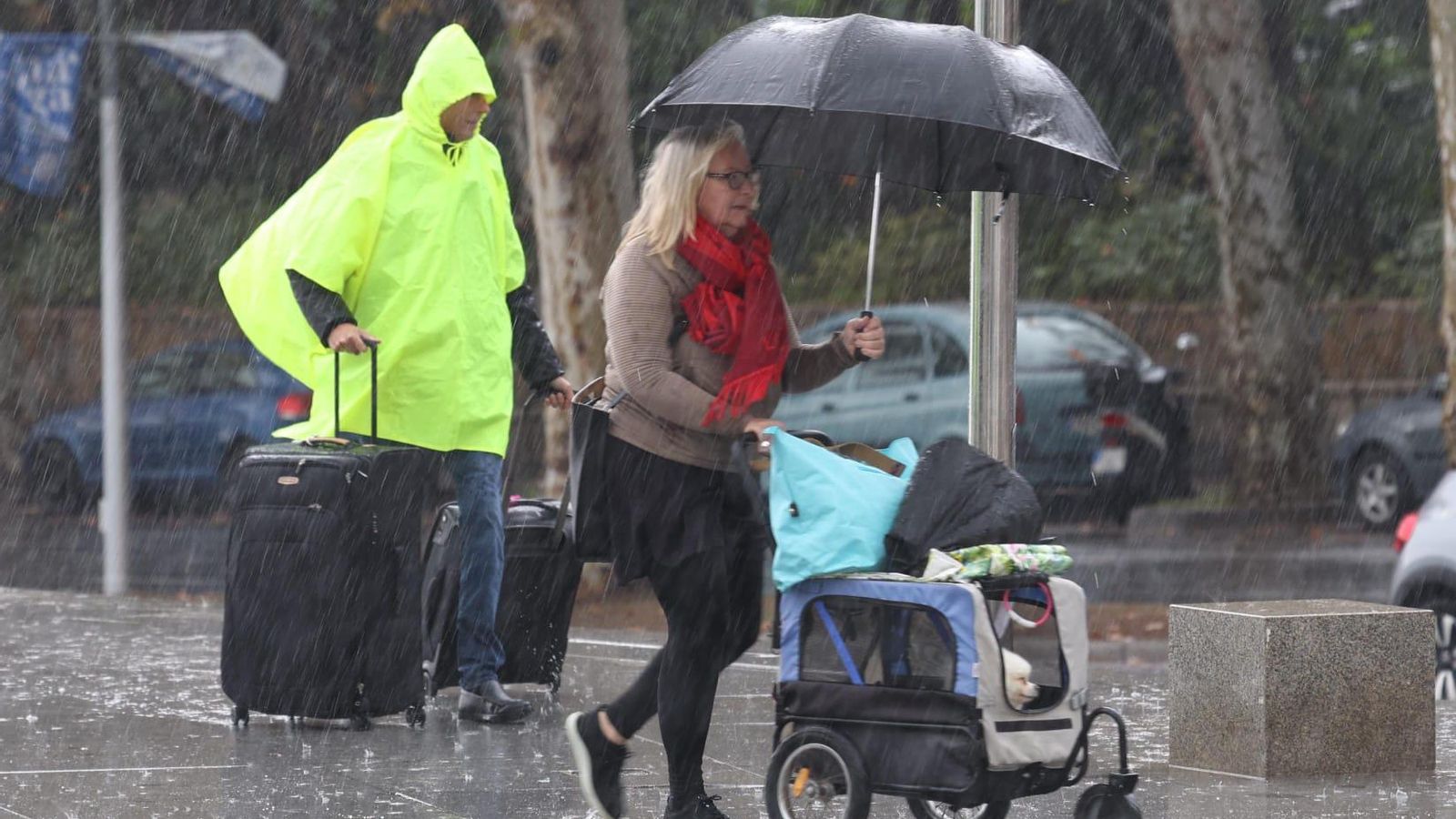 Lluvias y tormentas en Málaga en la jornada de aviso naranja, en imágenes (2)