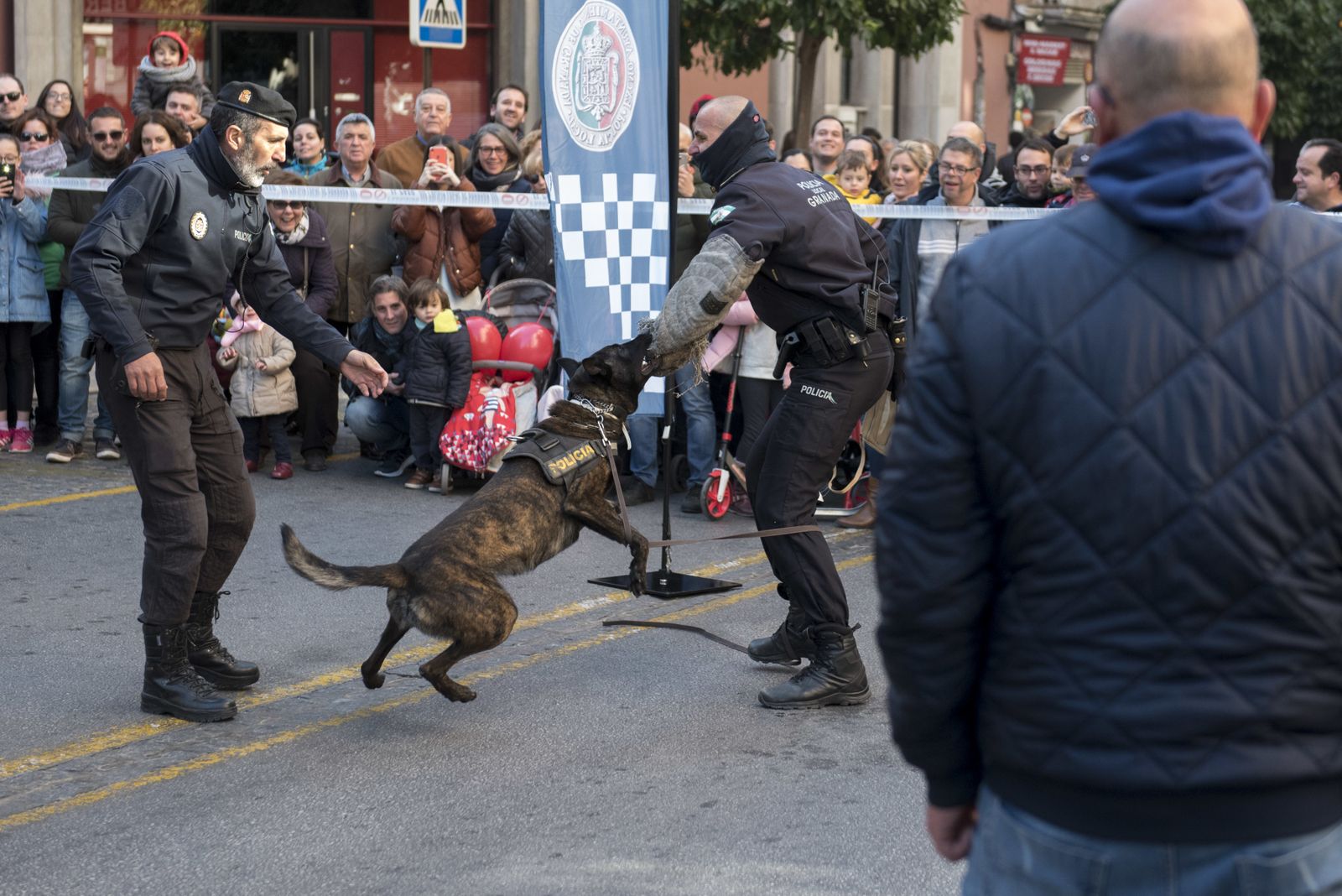 Las imágenes del Día sin coches