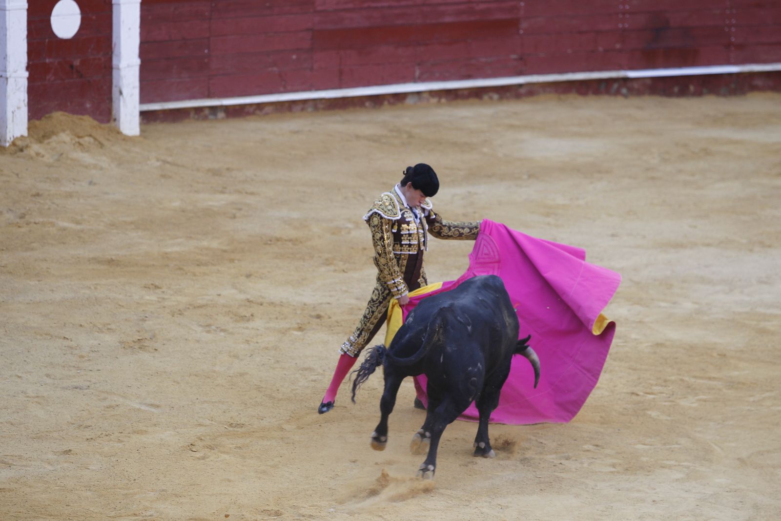 Fotogalería novillada Escuela Taurina de Almería. Feria de Almería 2019