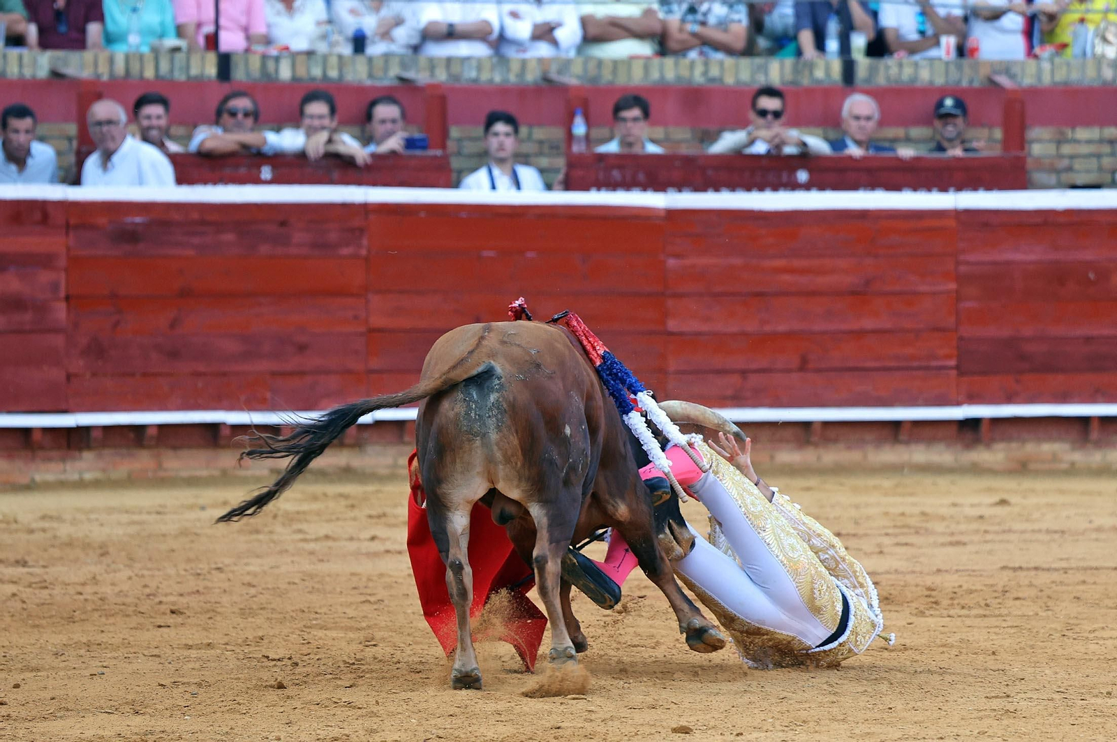 Toros La Merced 2025: Imágenes de la Novillada de Javier Zulueta, Cristian González y Carlos Tirado