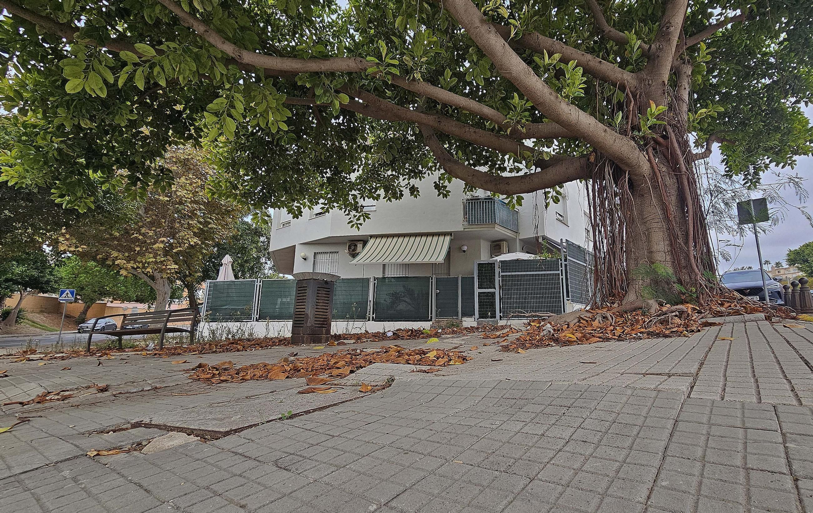 Fotos de los desperfectos en las barriadas de Getares en Algeciras