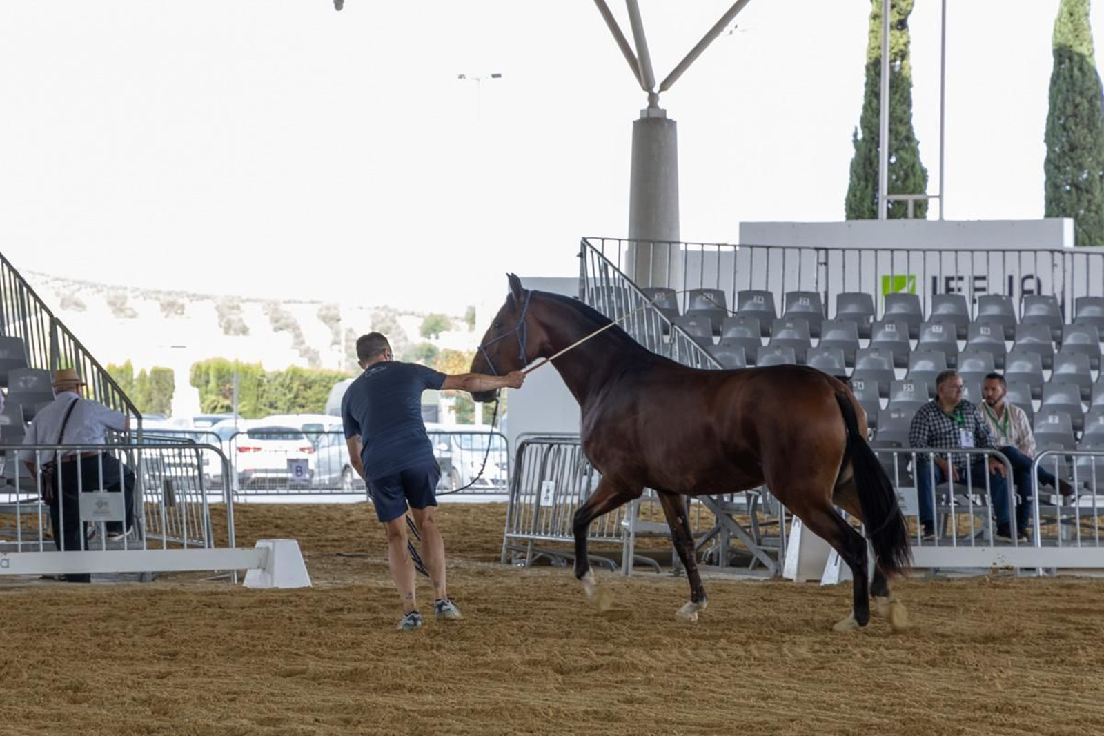 XXII Feria Internacional de Turismo, Deportes y Aventura de Andalucía, en imágenes