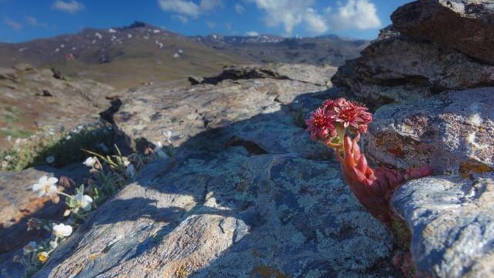 Una espectacular imagen de Sierra Nevada