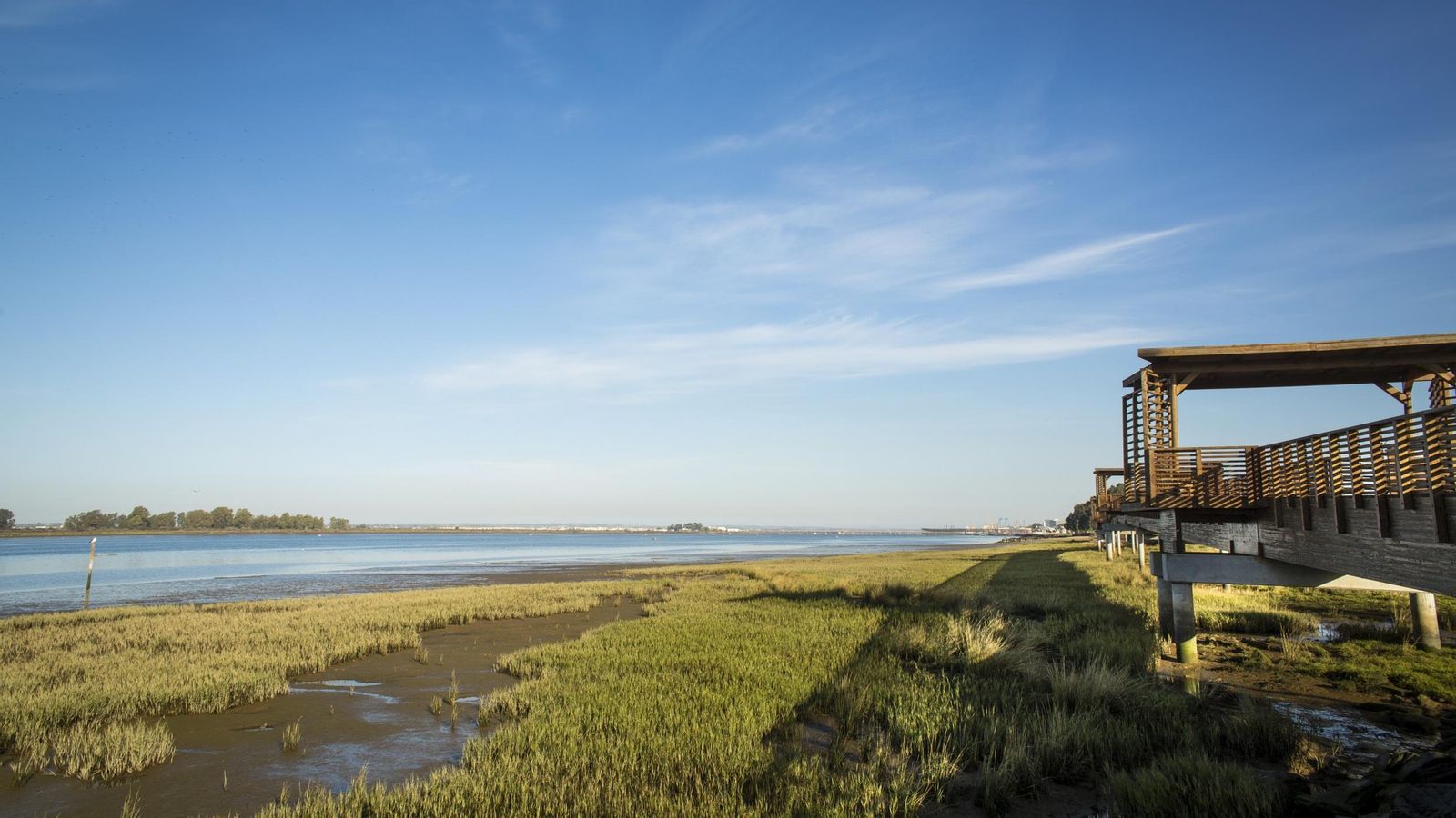 Marismas en Huelva.