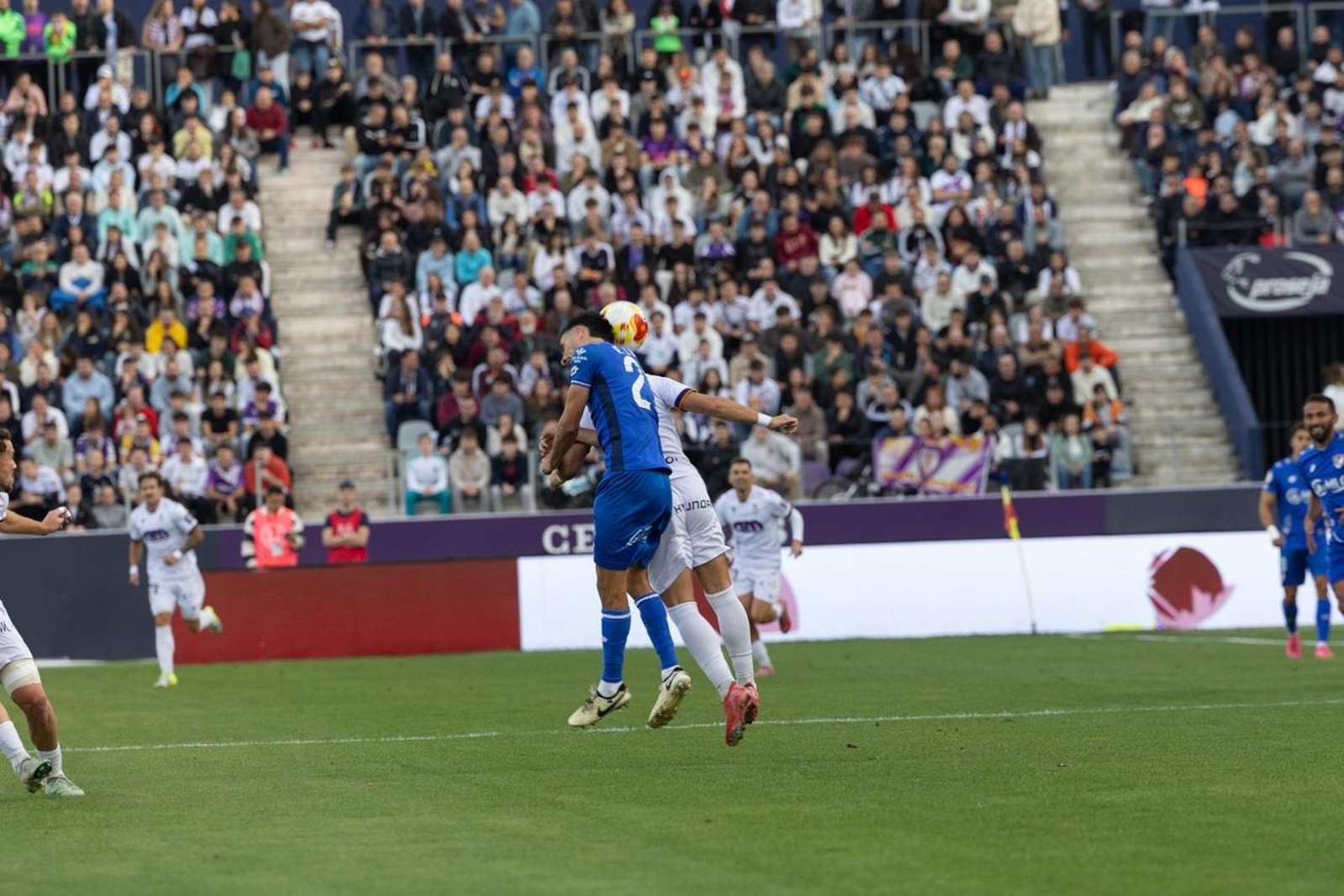 Real Jaén 0-1 Linares Deportivo: las mejores imágenes del clásico provincial