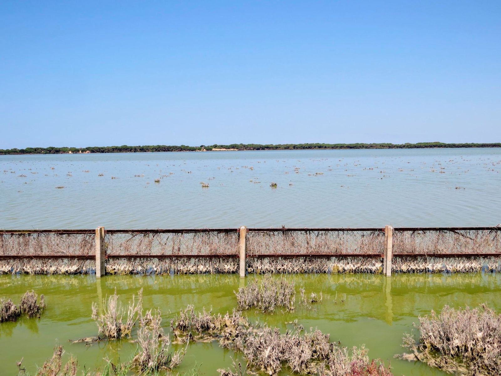 Marismas de Doñana.