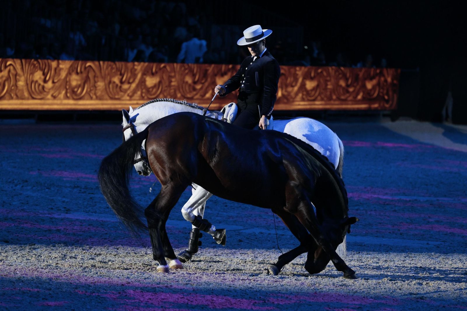 La inauguración de SICAB en imágenes