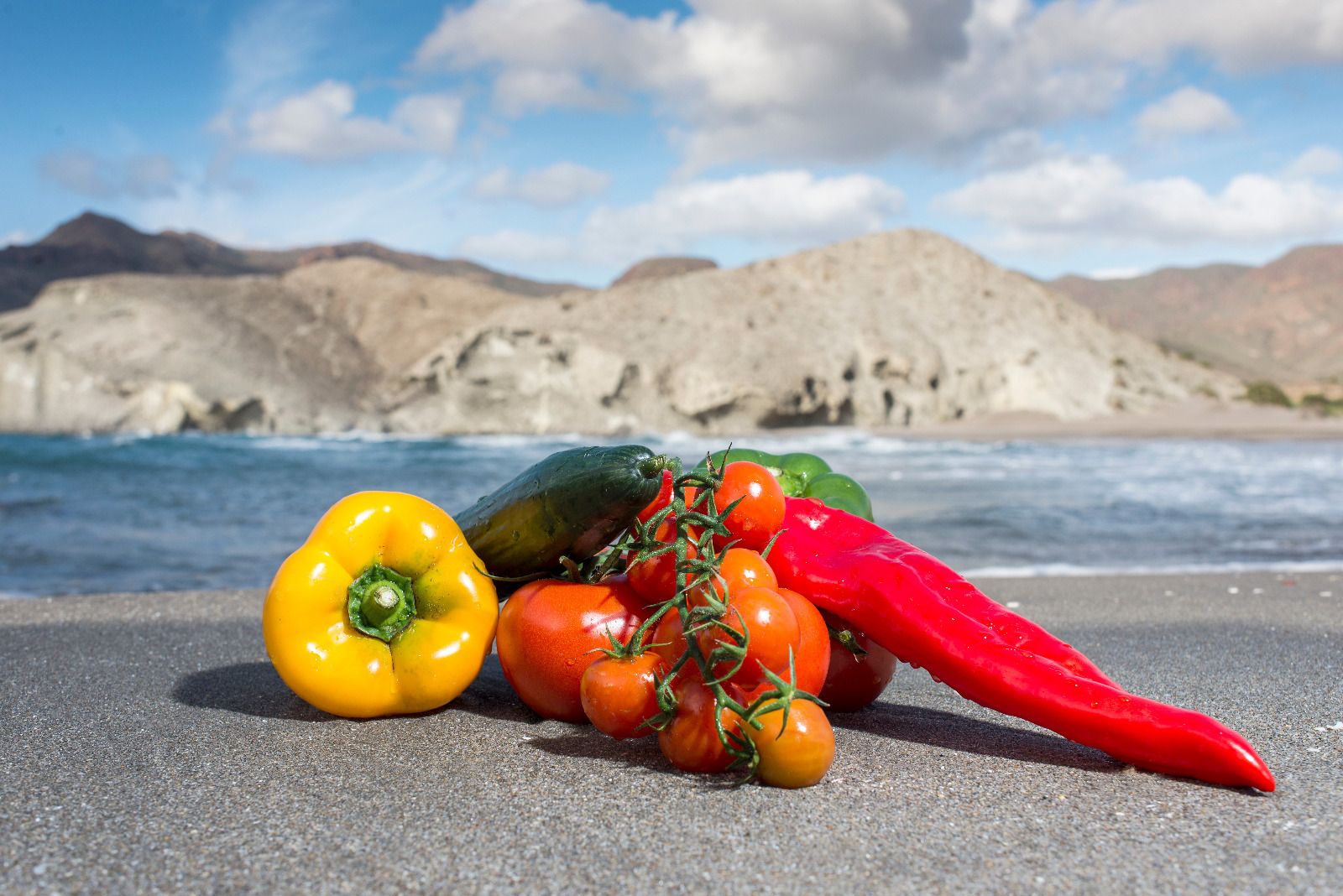 Bio Sol Portocarrero, referente del agro ecológico