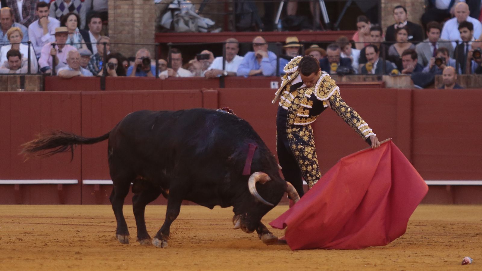 las mejores imágenes de la feria taurina de Sevilla