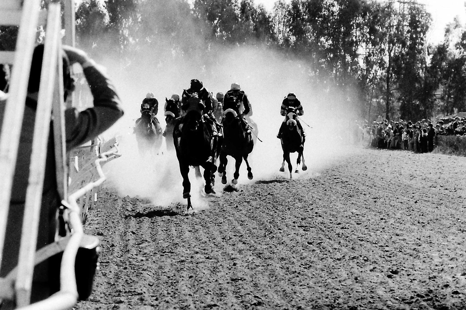 75 aniversario del hipódromo de Pineda