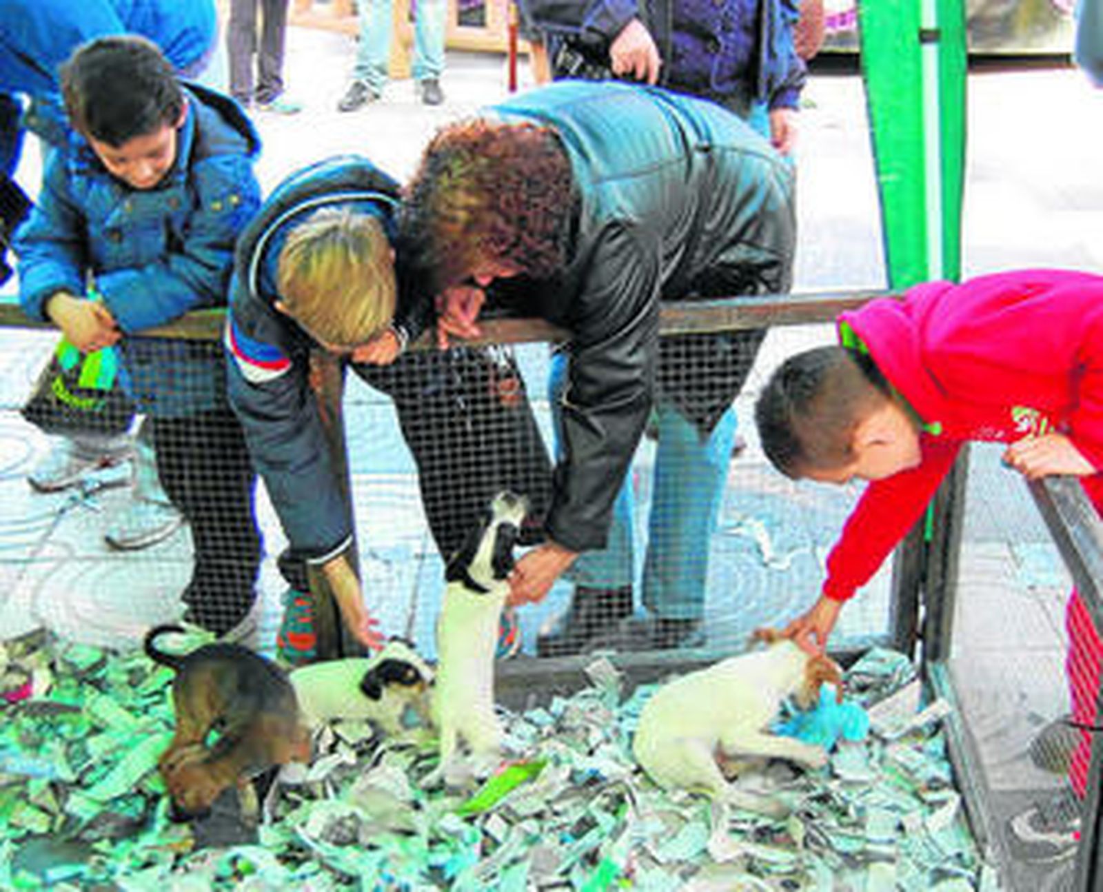 Los cachorros despertaron el cariño de pequeños y mayores.
