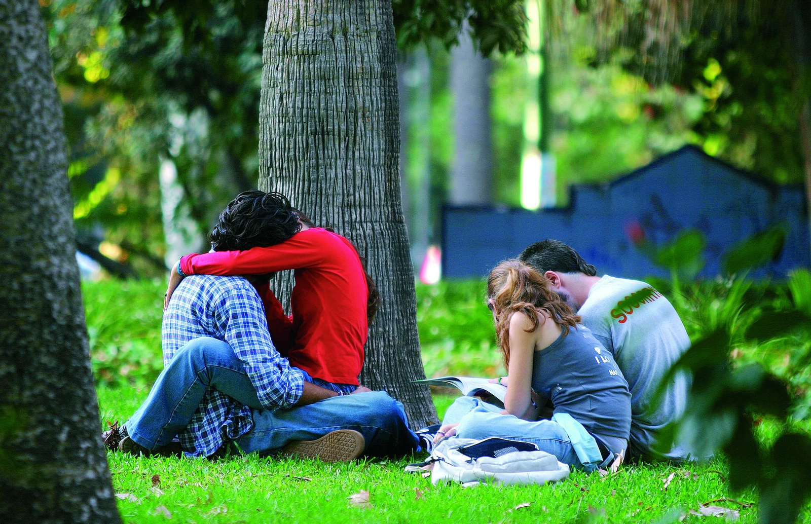 Una pareja de besa en el parque.