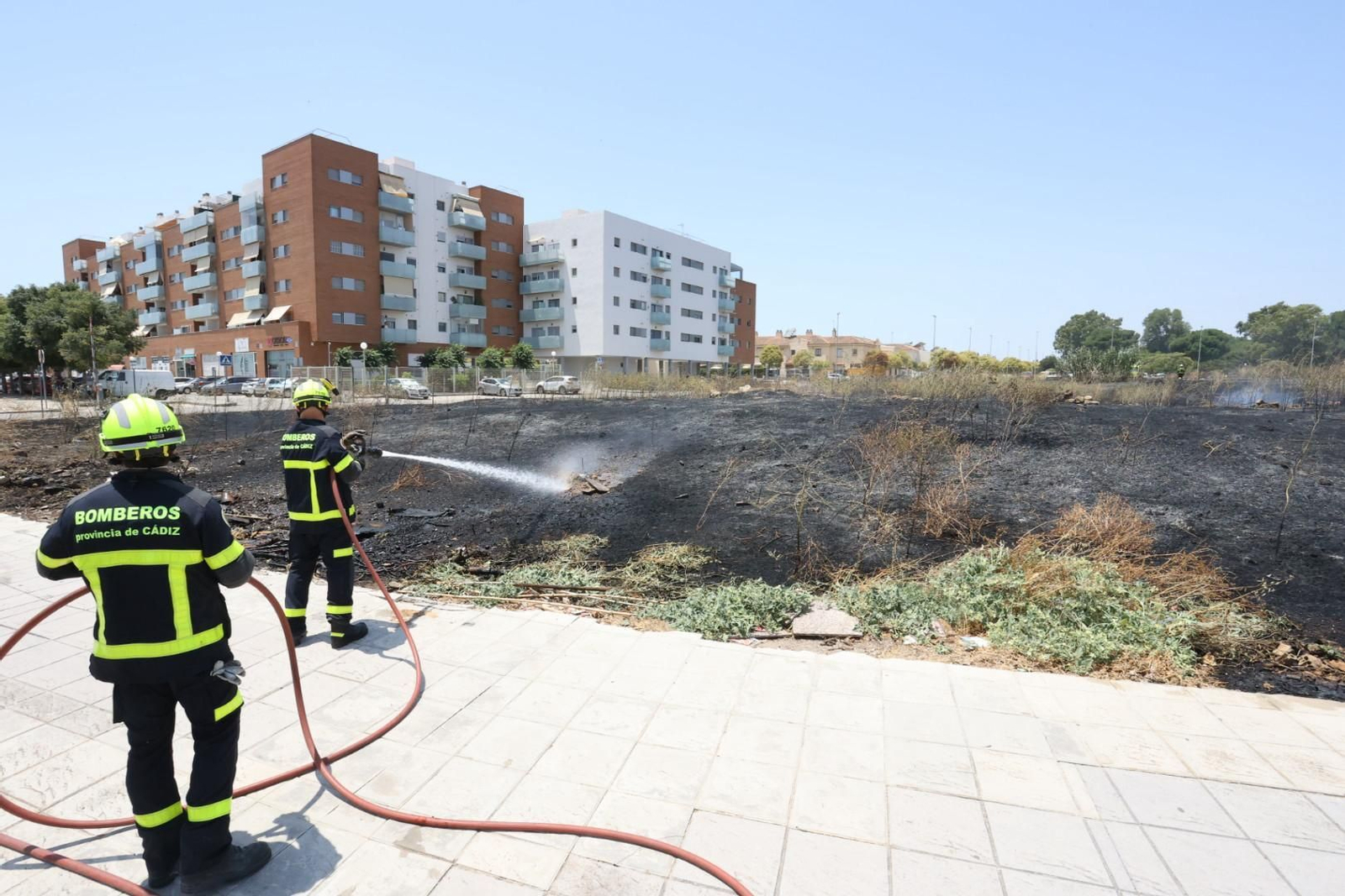 Incendio de pastos junto a la avenida de Espera en Jerez