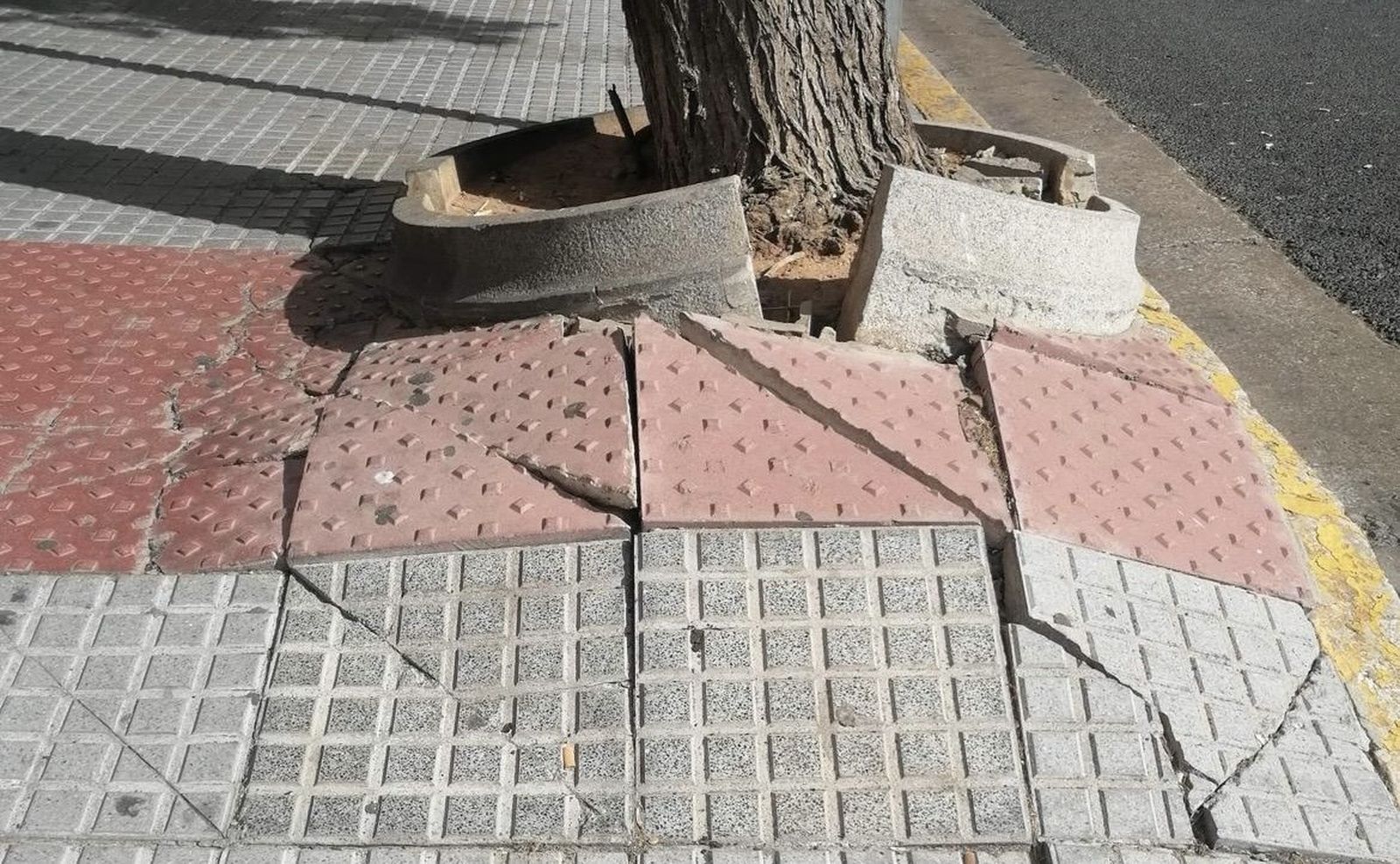 Cayetano del Toro: Terelu estatá en las cosas de su empresa