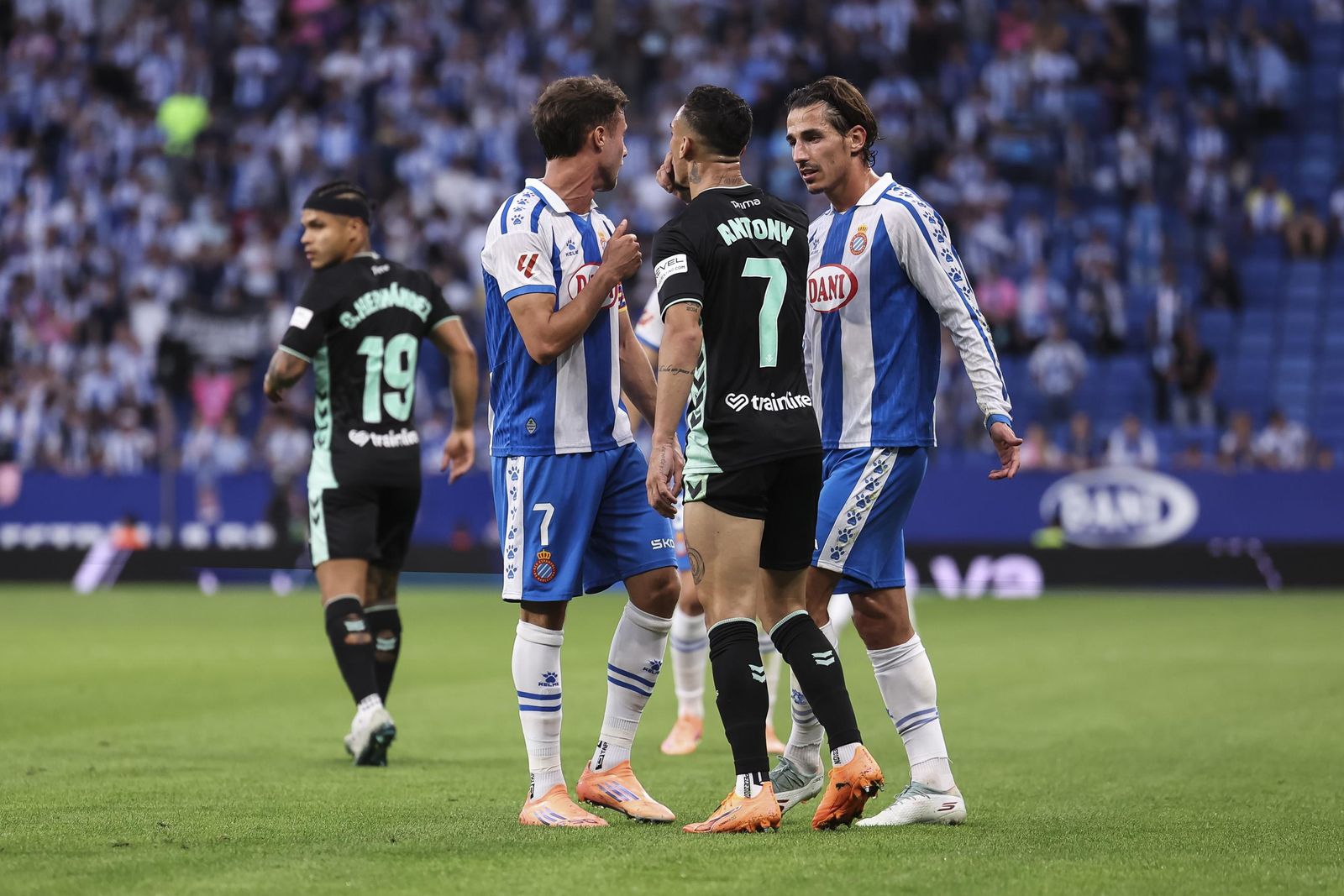 Las mejores fotos del Espanyol-Betis