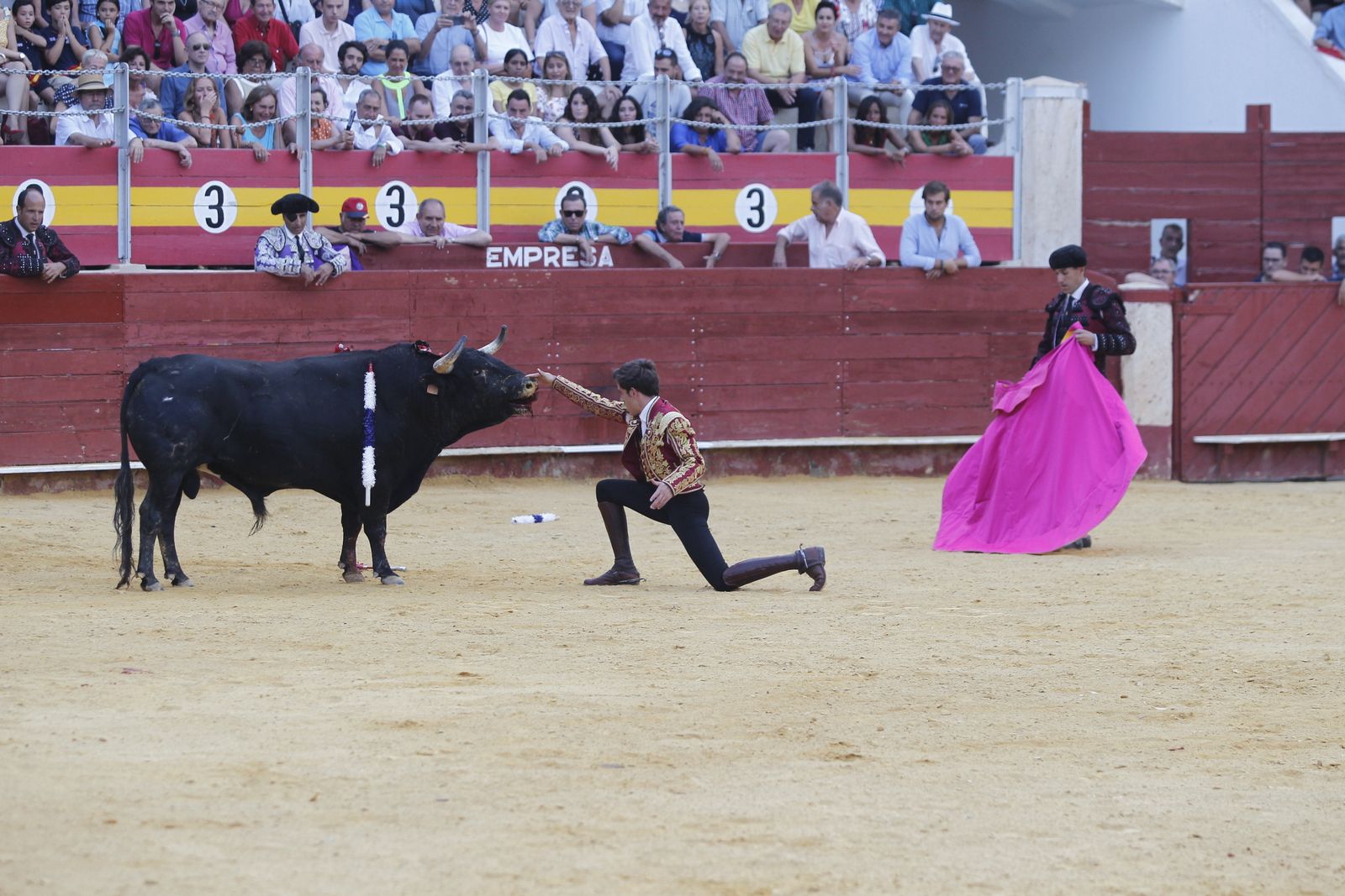 Fotogalería corrida de rejones. Feria de Almería 2019
