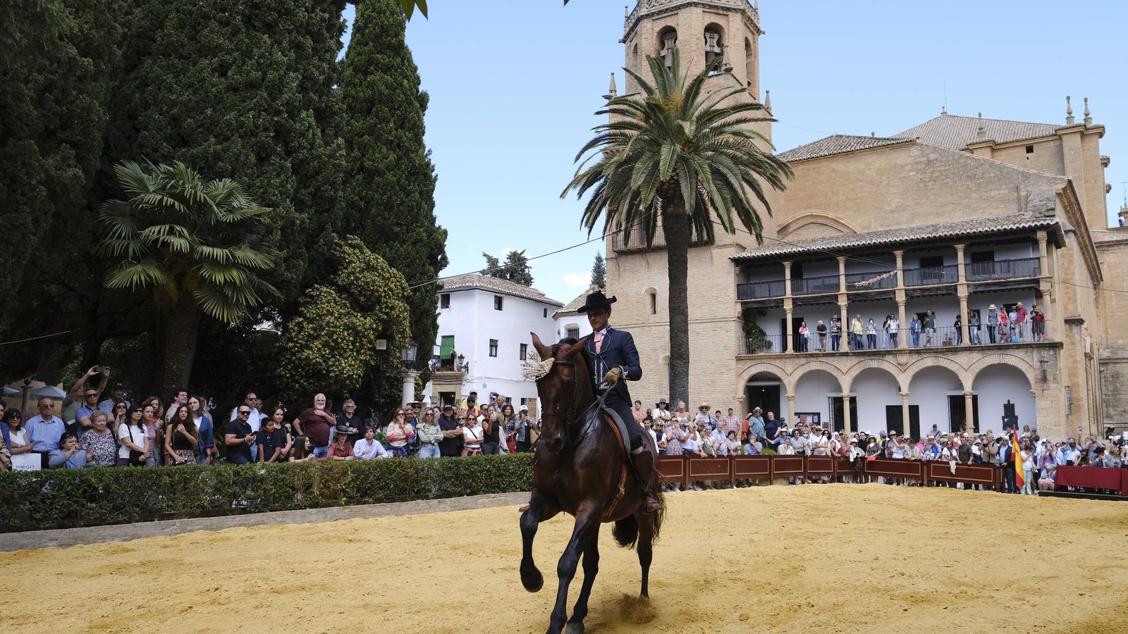 Concurso de alta escuela española en la plaza Duquesa de Parcent.