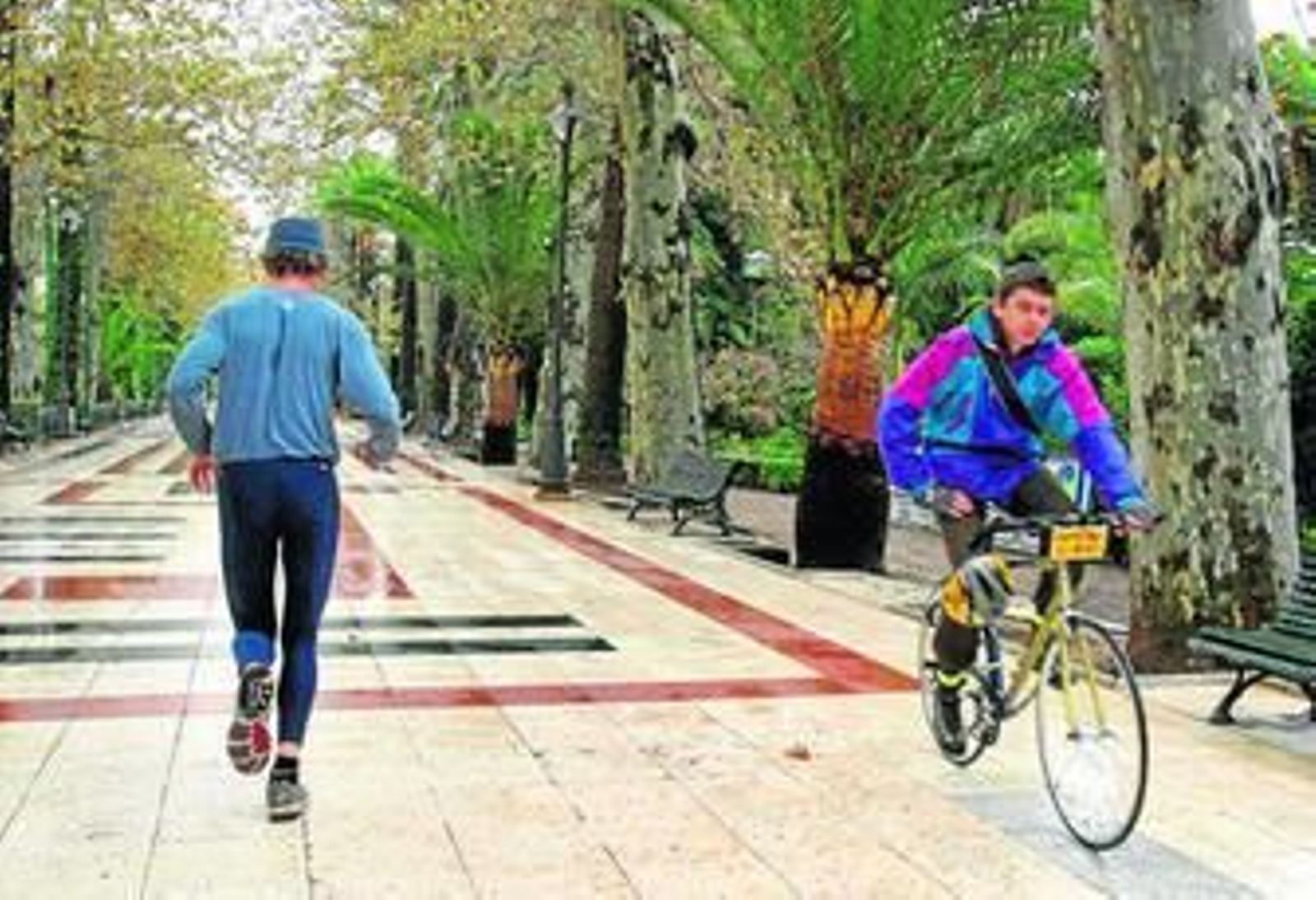 Un respiro para la mente