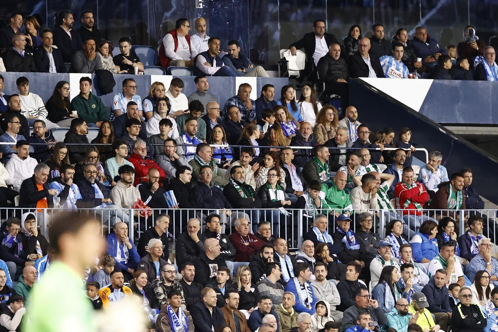 Búscate en las gradas de La Rosaleda en el Málaga CF-Córdoba