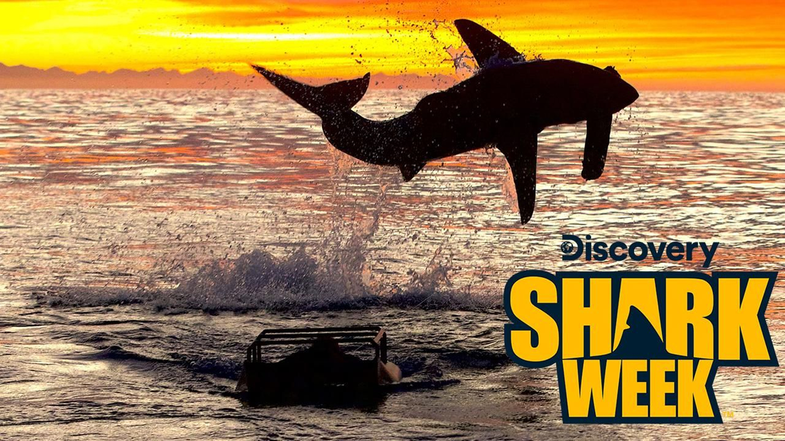 Discovery invita al público a sumergirse un verano más en las profundidades del mar y descubrir todo sobre los tiburones
