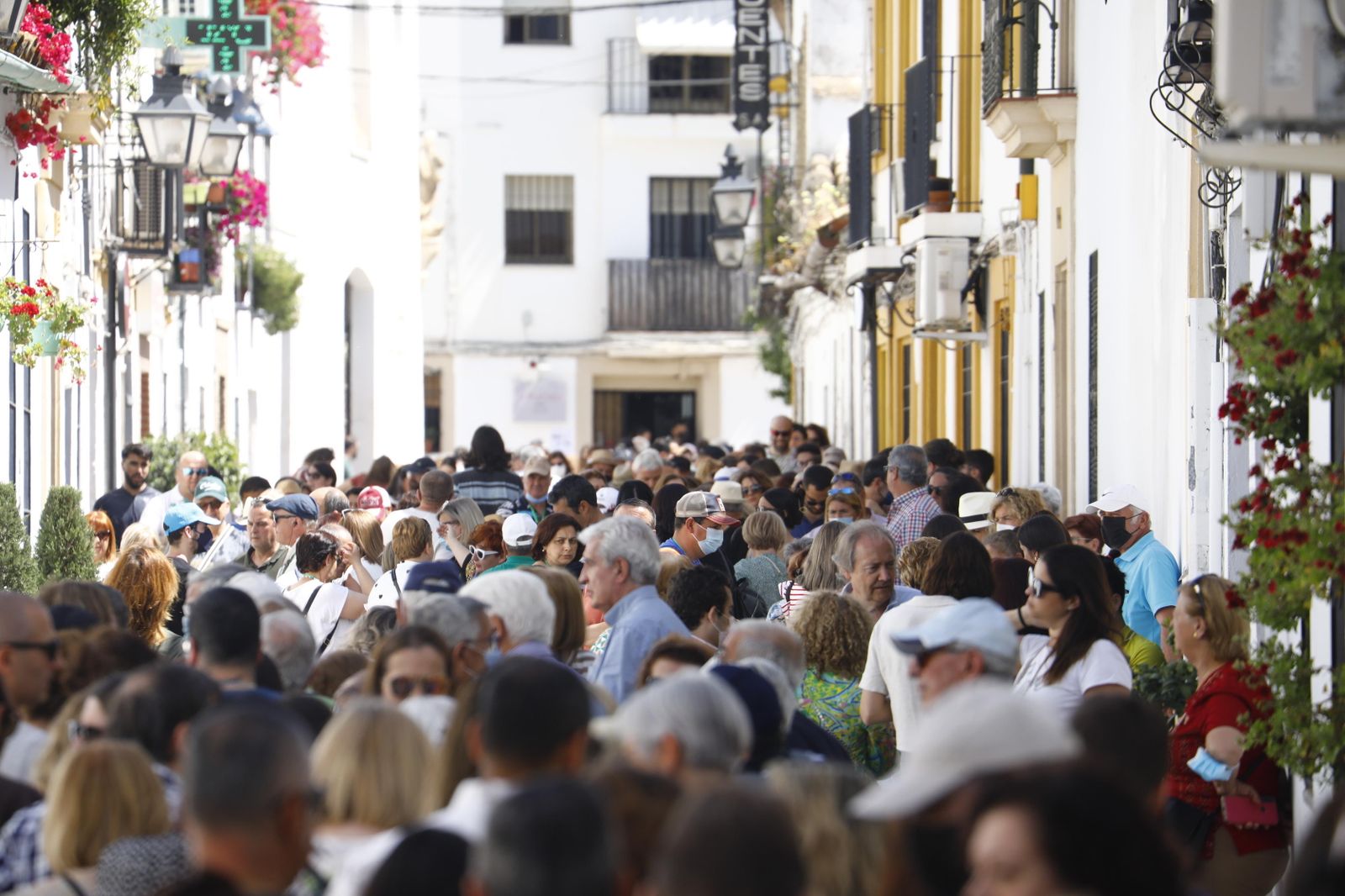 Bulla en Córdoba durante los patios.